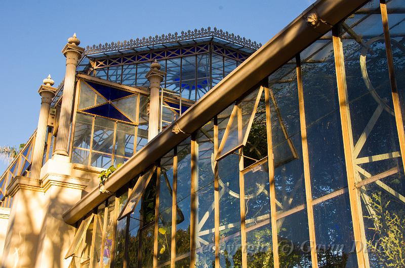 Glasshouse, Adelaide Botanic Gardens IMGP8869.jpg